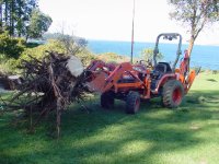 611249-Stump2.jpg