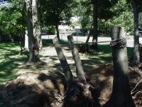 527082-MVC-491S.JPG
