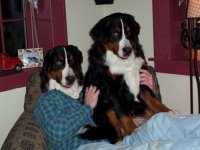 487278-DadBerner.jpg