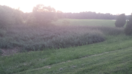 ForumRunner_20140812_195830.png