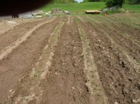 garden2014 009.jpg