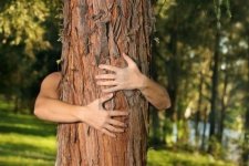 A_Treehugger.jpg