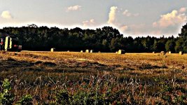 rsz_picsart_6_14_2014_8_33_41_pm[1].jpg