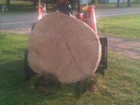 42 red oak block.jpg