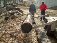 log ramp.jpg