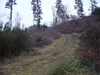 DSC00956.jpg