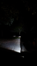 ForumRunner_20140724_015458.png