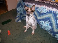 Blue Bell 001.jpg Blue Bell 001.jpg