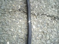 Rubbed hose.jpg