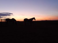 IMG_20130712_062437.jpg