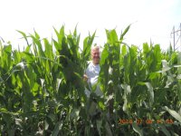 Knee High by the 4TH.jpg