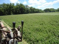 2014 Second Cutting Hay 001.jpg