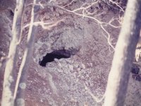 farmtunnel1986outside.jpg