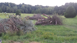 ForumRunner_20140918_213902.png