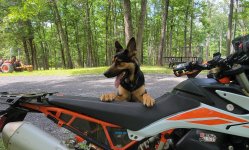 ktm 790 luka.jpeg