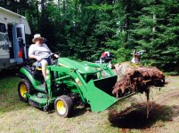 Stump.jpg