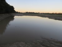 IMG_6665.JPG