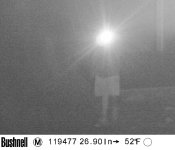 Burglar617.jpg