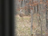 DSCN0158.jpg