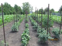 IMG_2666.JPG