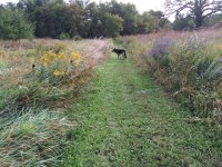 trail.jpg trail.jpg