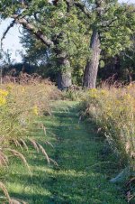 trail to oak.jpg trail to oak.jpg