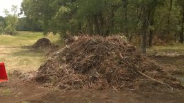 Mulch_zps6f642e37.jpg Mulch_zps6f642e37.jpg
