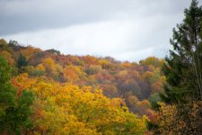 oktoberfest 2014-90.jpg