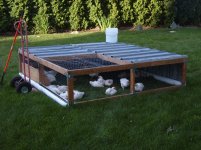 chicken tractor.jpg