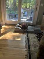 IMG_1812.jpeg