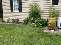 IMG_4793[1].JPG