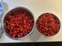 IMG_0385.jpeg