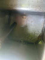 IMG_4446.jpeg