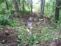 0067 Trench from Driveway Culvert to Pond.jpg