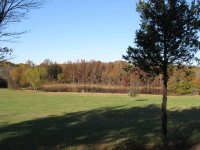 IMG_0198.JPG