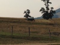 IMG_0779.jpg