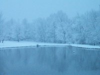 DSCF3871.jpg