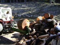 More fire wood 001.jpg