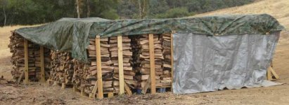 woodLot.jpg