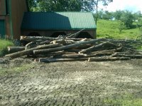Logging 2014b.JPG