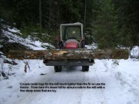 birch 015.jpg