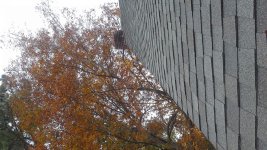 20131104_153001.jpg