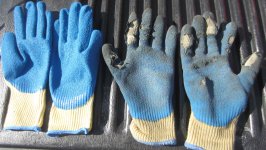 Gloves .jpg
