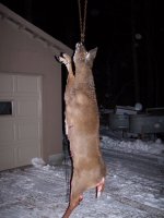 Dec.13 doe 003.JPG