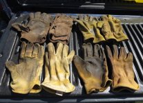Glove Pic.jpg