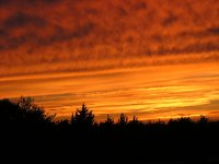 P7250538.JPG