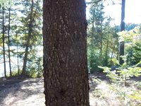 100_0622.JPG