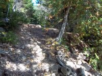 100_0623.JPG