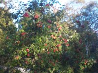 100_0647.JPG