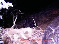 SPYCAM Bear Butt0011.jpg